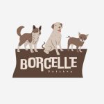 página web profesional para emprendedores